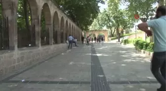 Şanlıurfa'da 'eyyam-ı bahur' sıcakları etkili oluyor
