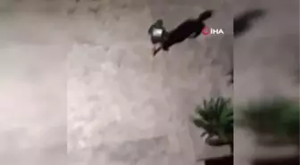 Tartıştığı adamı defalarca bacağından vurdu... O anlar kamerada