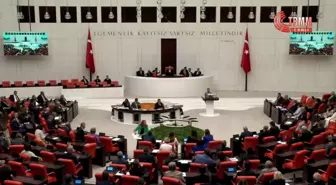 CHP Milletvekili Süreyya Öneş Derici, Akbelen'deki ağaç kıyımıyla ilgili TBMM Genel Kurulu'nda konuştu