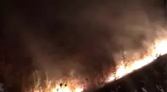Tunceli'de Otluk Alanda Çıkan Yangın Kontrol Altına Alındı