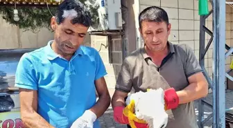 Kırıkkale'de düşen leylek yavrusu tedavi edildikten sonra yuvasına konuldu
