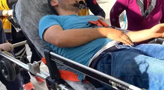 Aksaray'da sahipsiz köpeklerin ısırdığı kişi yaralandı