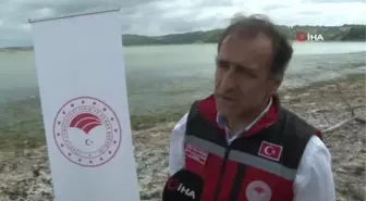 İstanbul'da göl ve göletlere 1 milyon 143 bin yavru balık bırakıldı