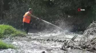 Karabük'te artan sivrisineklere karşı ilaçlama yapılıyor