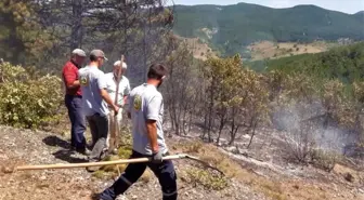 Çankırı'da Elektrik Telllerinden Çıkan Yangın Kontrol Altına Alındı