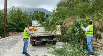 Toroslar Belediyesi Yayla Yollarında Temizlik Çalışması Yaptı