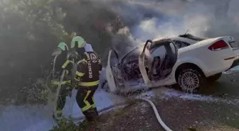 Denizli'de seyir halindeyken alev alan araç şarampole devrildi