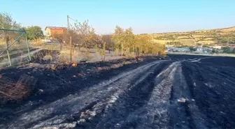 Keban ilçesinde çıkan arazi yangını söndürüldü