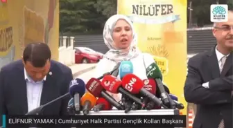 Nilüfer Müzik Festivali Bursa Valiliği'nin 'kamp ve alkol' yasağı nedeniyle iptal edildi