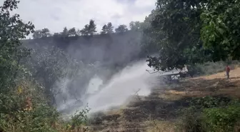 Sinop'ta ormanlık alanda çıkan yangın söndürüldü