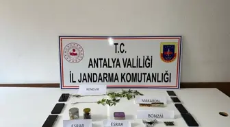 Antalya'da uyuşturucu operasyonunda 11 kişi gözaltına alındı