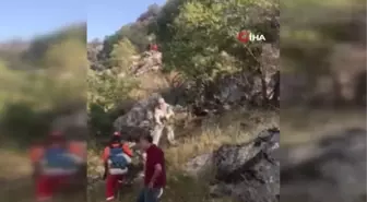 Diyarbakır'ın Lice ilçesinde çıkan örtü yangını kontrol altına alındı