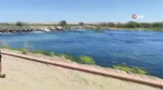 Serinlemek için Fırat Nehri'ne giren baba oğul kayboldu