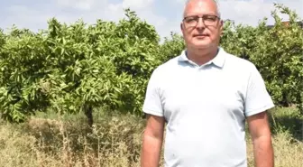 Yüksek Sıcaklıklar Yaz Meyvelerini Olumsuz Etkiliyor