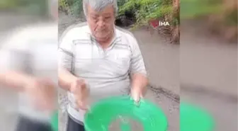 Dere yatağında çamurların arasında altın tozu arıyor