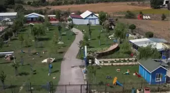 Bursa'daki Emekli Hayvanlar Çiftliği'nde Hayvanlar Emeklilik Hayatı Yaşıyor