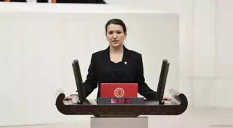 CHP İzmir Milletvekili Gökçe Gökçen'den Ezgi Zerkin açıklaması