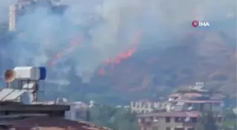 Hatay'da Zeytinlik ve Makilik Alanlarda Yangın Kontrol Altına Alındı