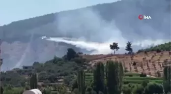 Muğla'da Yatağan ilçesinde çıkan orman yangını kontrol altına alındı
