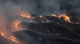 Adıyaman'ın Gerger ilçesinde çıkan orman yangını kontrol altına alındı