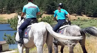 Nevşehir Jandarma At ve Köpek Eğitim Merkezi'nden Atlı Jandarma Timi Akdağ'da Göreve Başladı