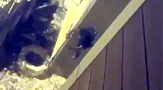 Avcılar'da Kablo Hırsızı Suçüstü Yakalandı