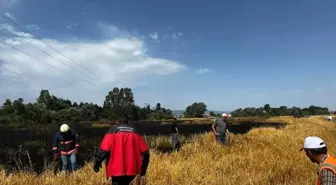 Bolu'nun Dörtdivan ilçesinde 24 dekarlık buğday tarlası yangında zarar gördü