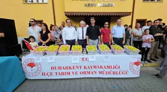 Buharkent Belediyesi 17. Kültür Sanat Şenliği ve Taze İncir Festivali Sona Erdi