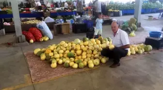 Kütahya'da yerli kavunlar adeta kapışılıyor