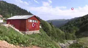 Yayla şenliklerinde Kafkas arı ırkı ve ürünleri tanıtıldı