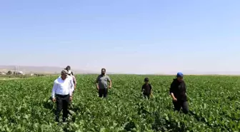 Ağrı İl Tarım ve Orman Müdürü çiftçileri ve veteriner hekimleri ziyaret etti