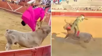 Boğanın boynuzunu anüsüne sapladığı matador ölümden döndü