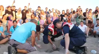 Çıralı'da Caretta Carettaların Yuvalardan Çıkışı İzleniyor