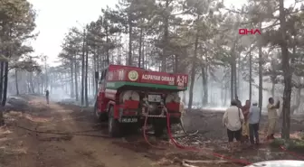 Denizli'de orman yangını kontrol altına alındı