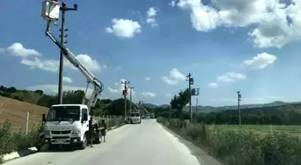 Leyleklerin güvenliği için elektrik direklerinde izolasyon çalışması yapılıyor