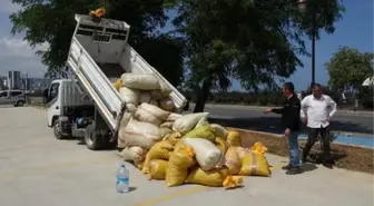 Karadeniz Bölgesi'nde Fındık Üreticileri Ürünlerini Kurutmak İçin Sahil Yolunu Kullanıyor