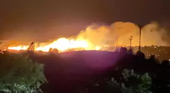 Malatya'da çıkan yangın kontrol altına alındı