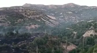 Meyve bahçelerinin bulunduğu dağlık alanda çıkan yangın kontrol altına alındı