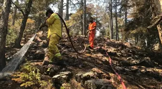 Antalya'da Orman Yangınına Havadan ve Karadan Müdahale Devam Ediyor