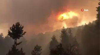 Antalya'da orman yangını