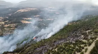 Bolu orman yangını söndürüldü mü? Bolu'da yangın son durum ne?