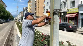 Boztram güzergahındaki elektrik direkleri ahşap kaplamalar ile kaplanıyor