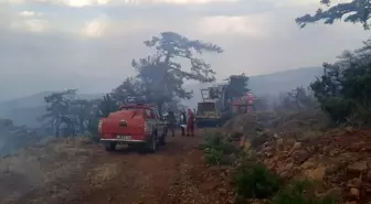 Eskişehir'deki Orman Yangını Kontrol Altına Alındı