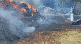 Kastamonu'da çıkan yangında 2 samanlık ve 6 bin balya saman zarar gördü