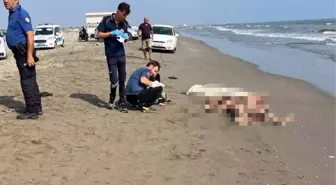 Mersin'de Denize Giren 2 Kız Kardeş Boğuldu