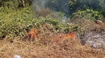 Karabük'ün Yenice ilçesinde orman yangını kontrol altına alındı