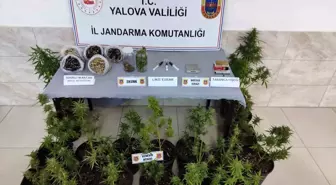 Yalova'da uyuşturucu imalatı yapılan evde operasyon düzenlendi