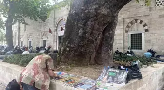 Beyazıt Meydanı'nın çınarı Hüseyin Avni dede: 58 yıldır adının verildiği ağacın altında