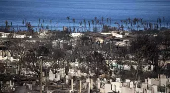 Maui'deki Orman Yangınlarında Ölü Sayısı 111'e Çıktı