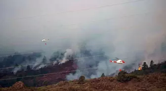 İspanya'nın turistik Tenerife Adası'ndaki orman yangını kontrolden çıktı!